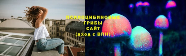 амф Алзамай