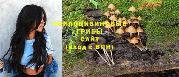 амф Алзамай